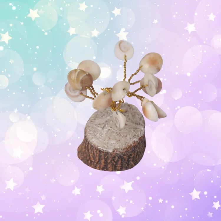 Natural Gomati Chakra Healing Gem Stone Vastu Plant